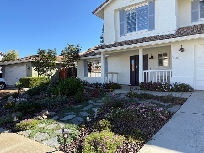 Building Photo - Nicely updated 4-bedroom in Oakdale!