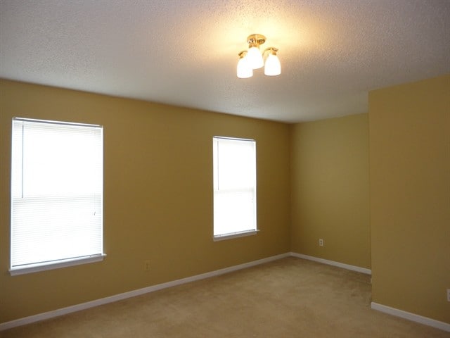 Building Photo - 1332 Clove Ct