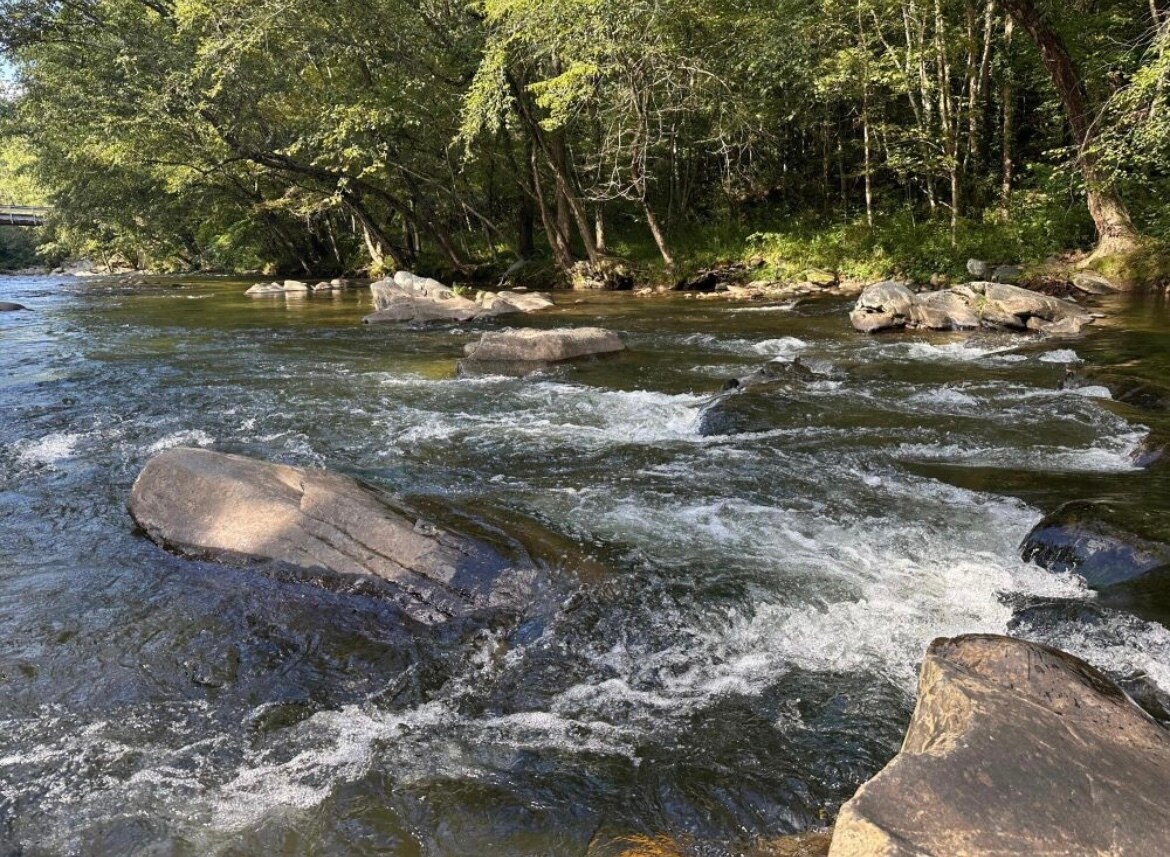 Building Photo - 3626 Pittman Center Rd