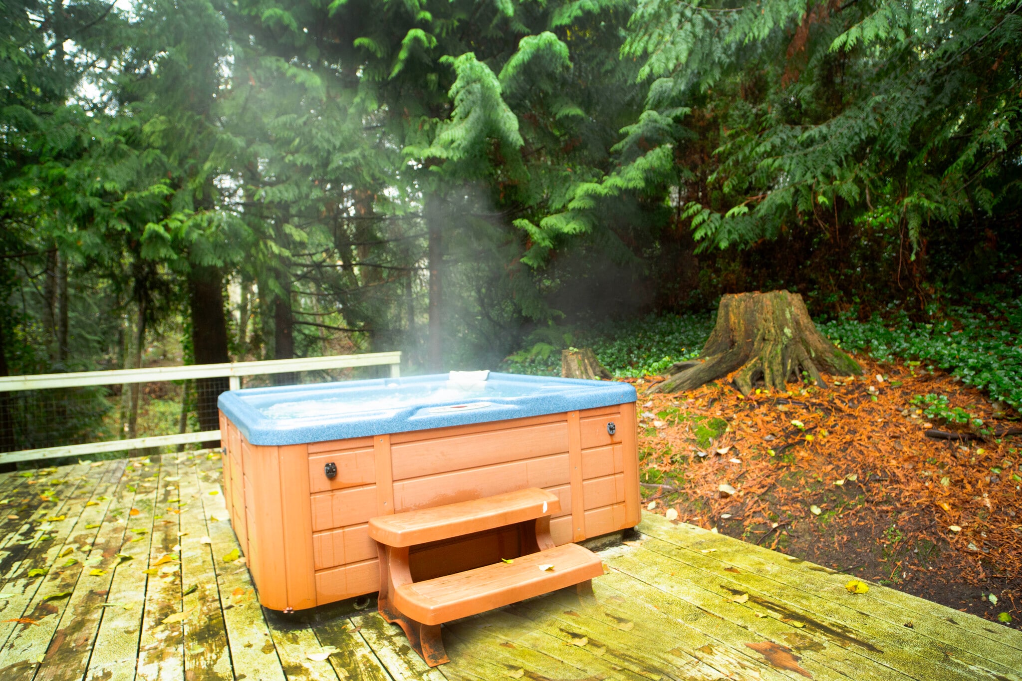 private hot tub on the back porch overlooking a serene creek, mature trees, and local wildlife - 1114 Pawnee Ln