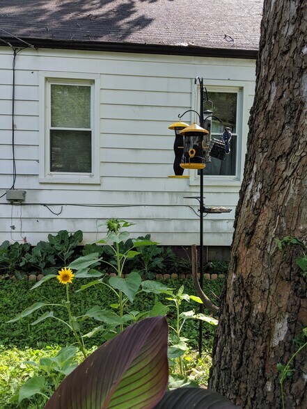 Building Photo - 821 Stanley St