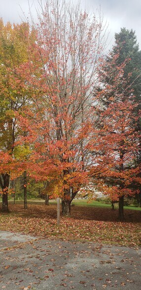 Building Photo - 162 Lancaster Rd