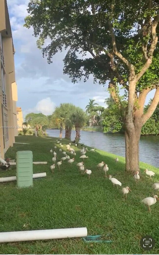 Building Photo - 8305 Sunrise Lakes Blvd