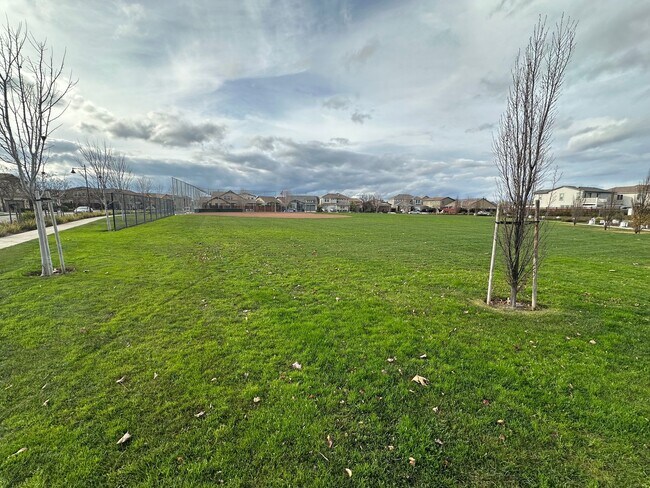 Building Photo - Stunning Lakefront River Islands Home