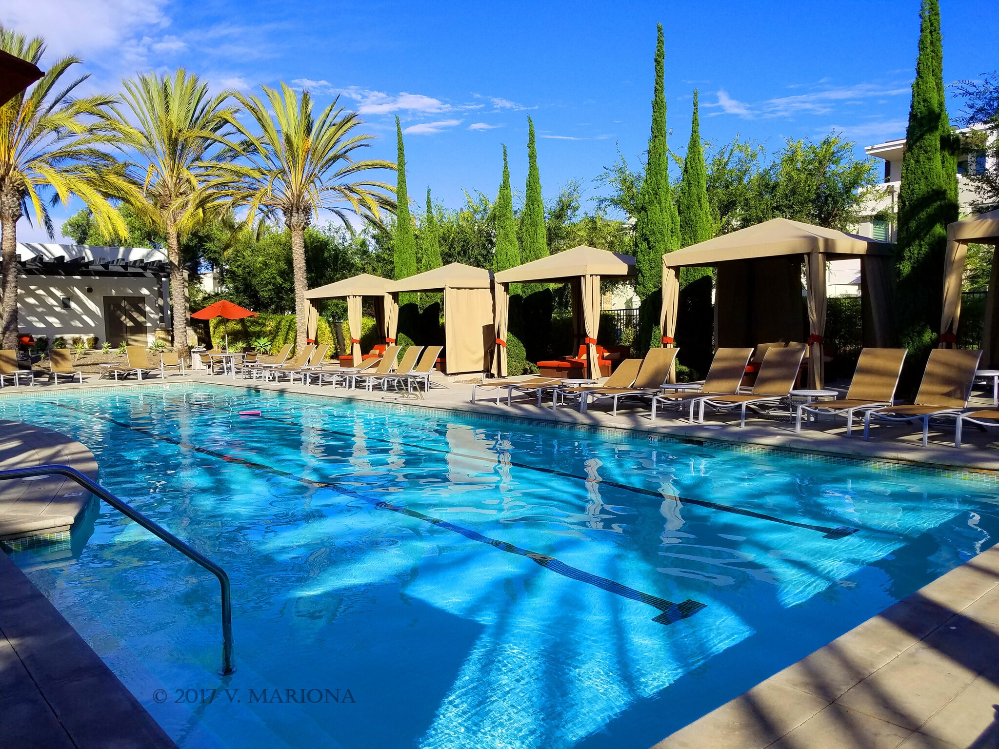 We feature a lap pool and a round pool for year-round enjoyment - 13019 Park Pl