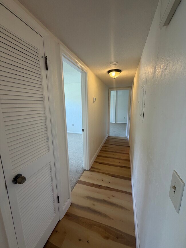 Building Photo - 3800 Saxon Dr