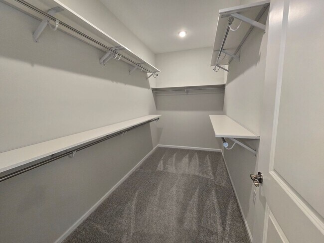 Building Photo - 3 BR/2BA | Newly Renovated Single Family Home | 2-Car Garage Parking | Large backyard| In Carolin...