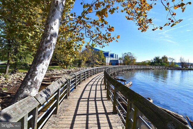 Building Photo - 515 Tobacco Quay