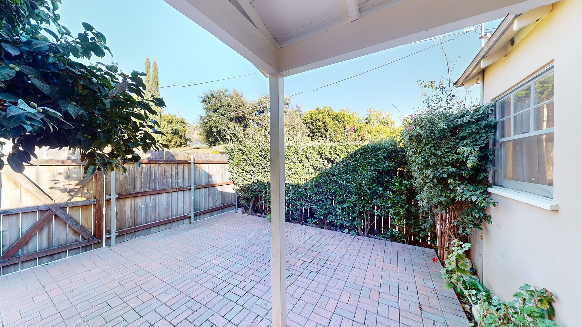 Back Yard - 587 Prescott St