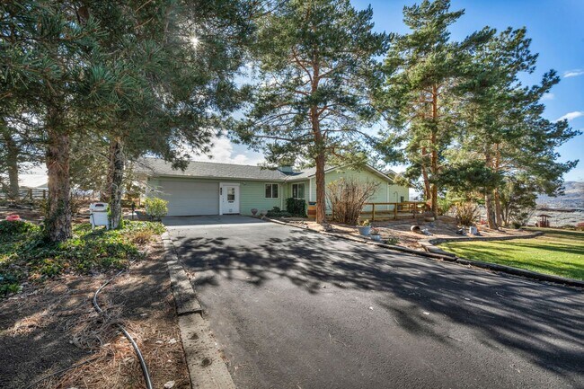 Building Photo - Single Story Home Located on a Ranch