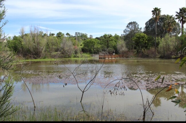 Building Photo - 4197 Meadow Oaks Dr