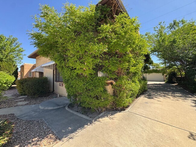 Building Photo - North Campus Gem!