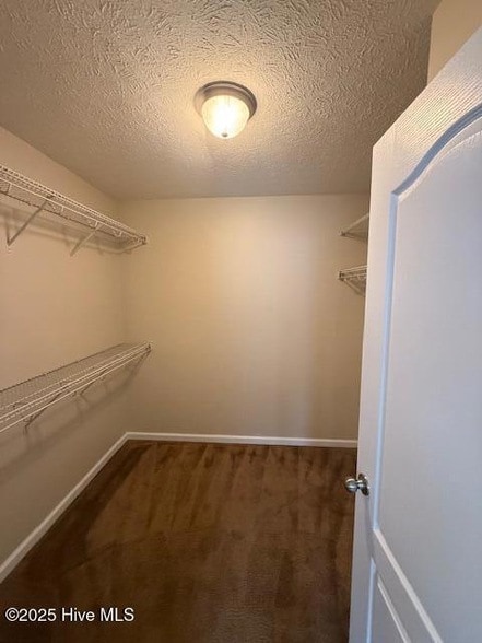 Building Photo - 419 Lafitte Way