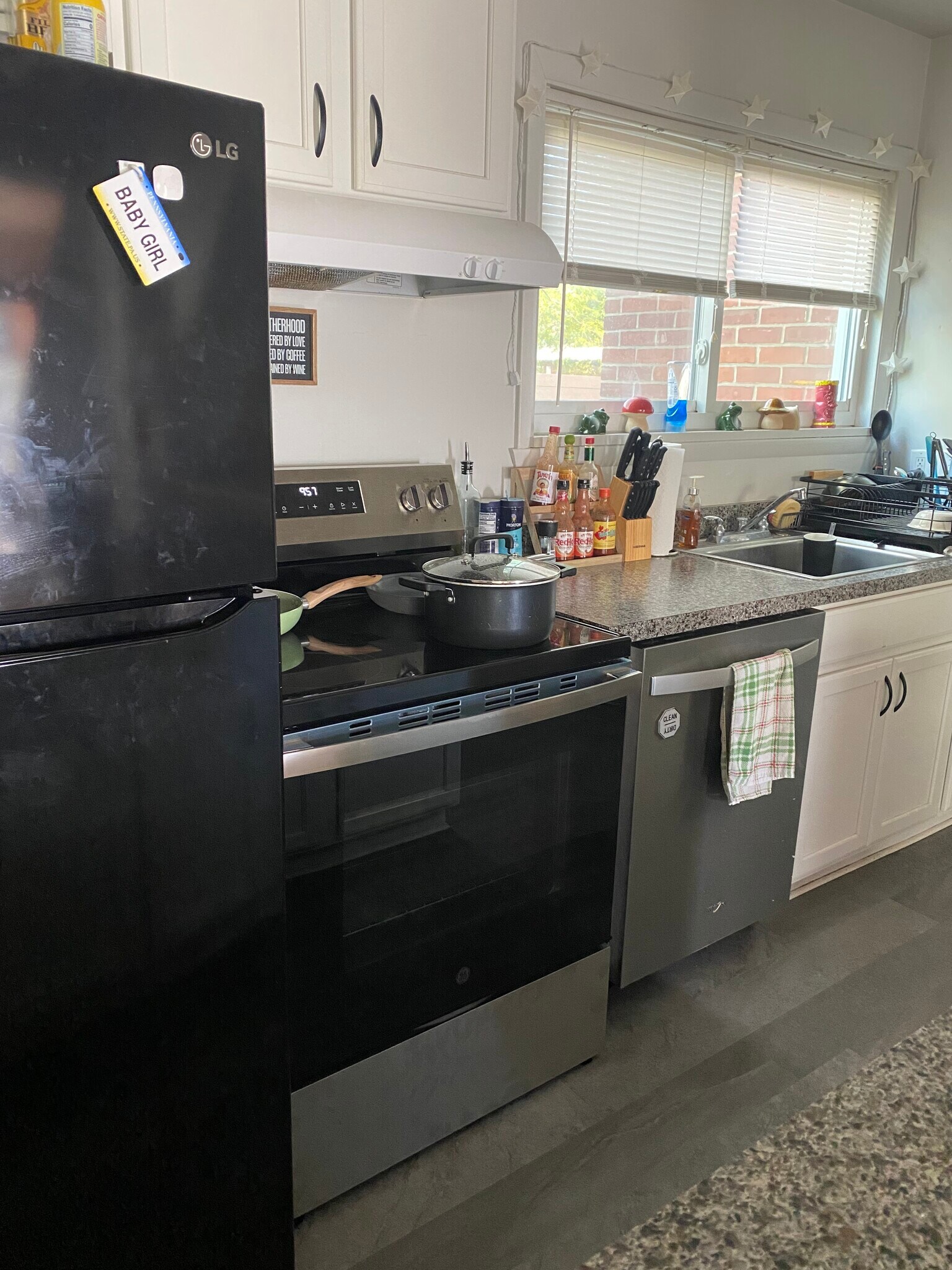 kitchen - new stove & dishwasher - 712 W Beaver Ave