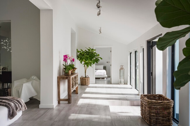 Building Photo - 259 N Coconut Ln