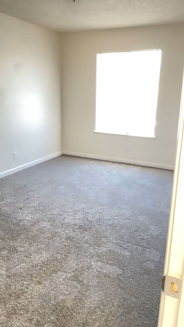 Building Photo - 537 Nevin Ave