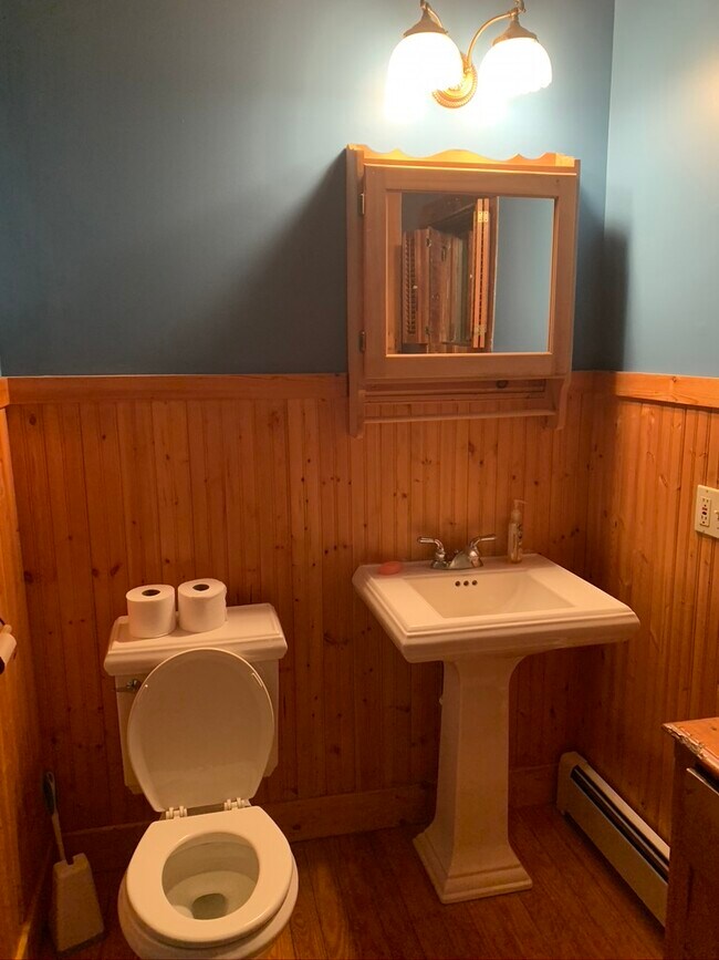 Bathroom - 159 Hamlin Ave