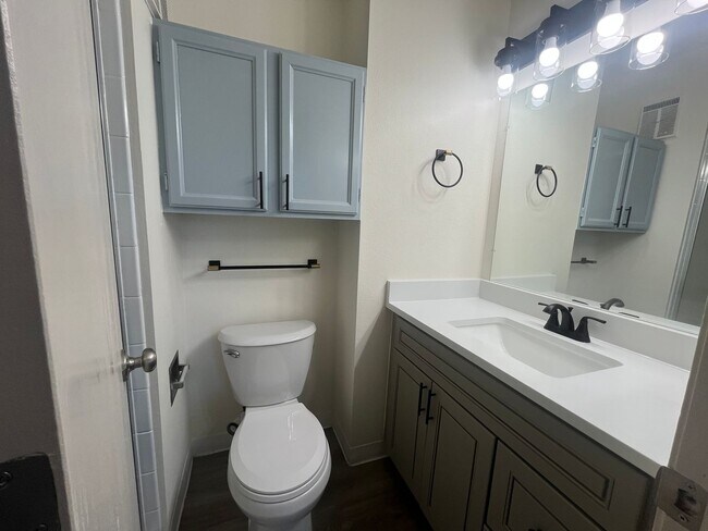 Building Photo - GORGEOUSLY REMODELED 2 bed 2 bath on 3rd floor with vaulted ceiling and skylight!