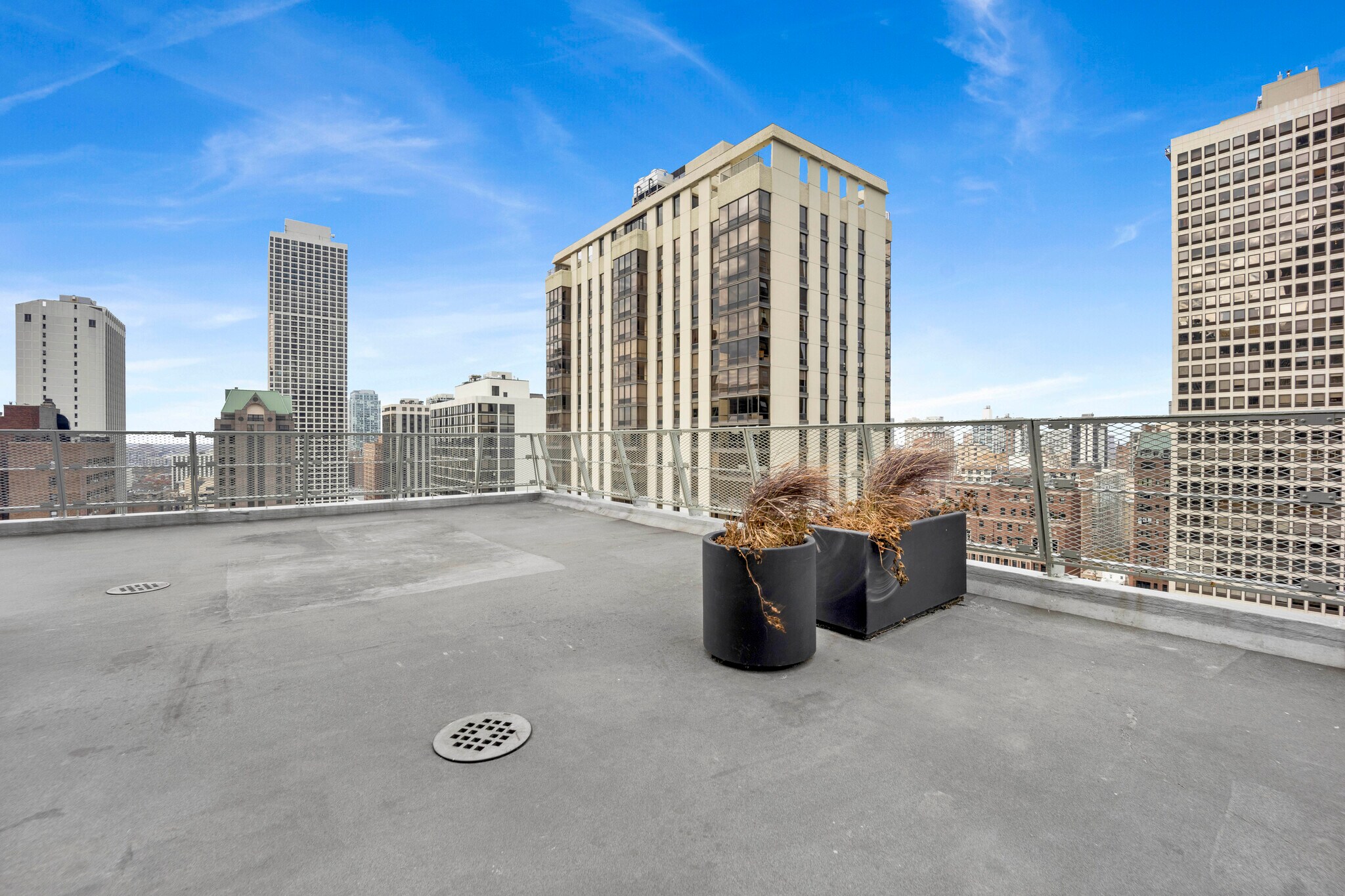 Building Photo - 1000 N Lake Shore Dr