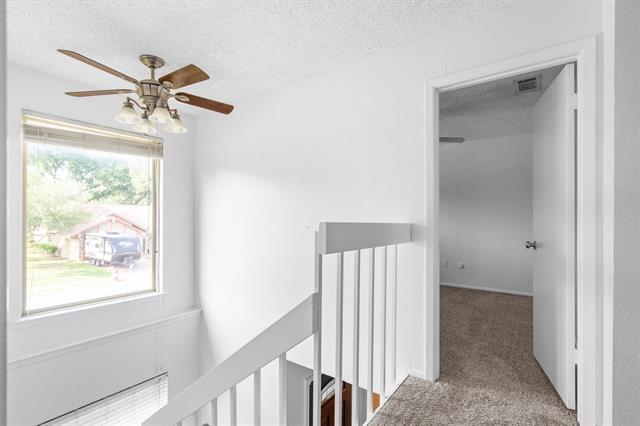 Building Photo - 222 Wildfire Dr
