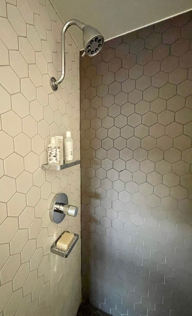 Shower detail - 7135 Hollywood Blvd