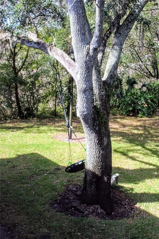 Building Photo - 11808 Skylake Pl