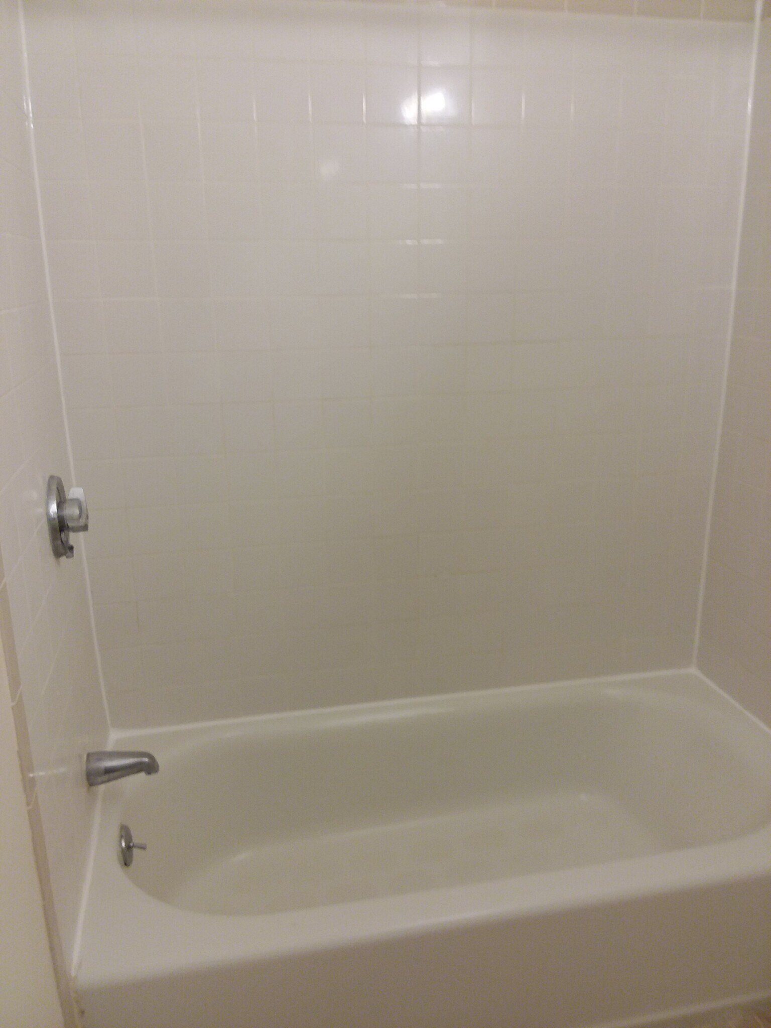 Tub/Shower - 146 Calumet St