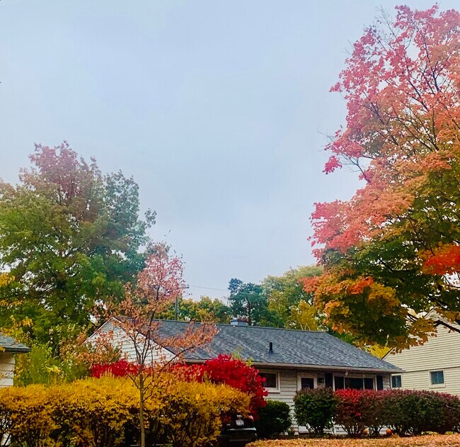 Building Photo - 1117 Kay Pkwy