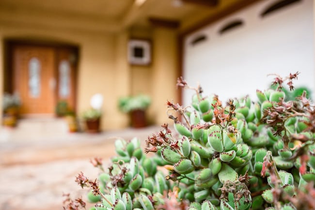 Building Photo - 1805 Speyer Ln