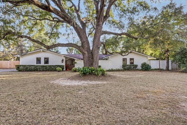 Primary Photo - Mid-Century Home in Killearn Estates