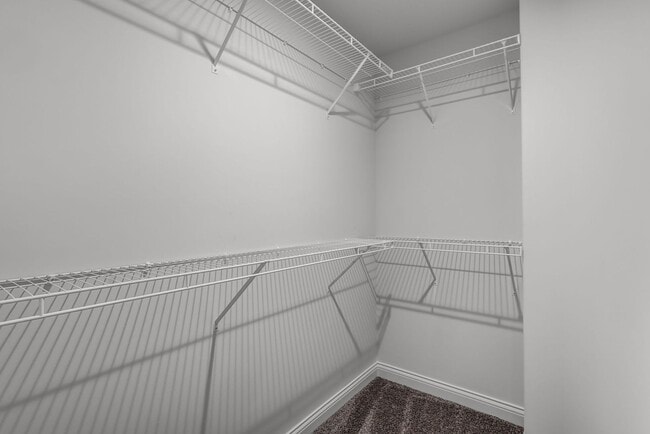 Building Photo - BRAND NEW 3Bed/2Bath Ranch 3 Car Garage