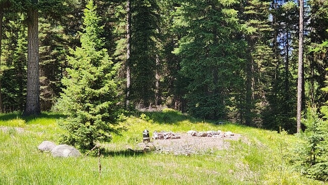 Building Photo - Beautiful Home in Condon