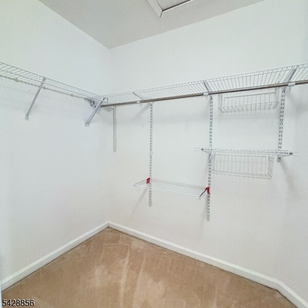 Building Photo - 38 Honeyman Rd