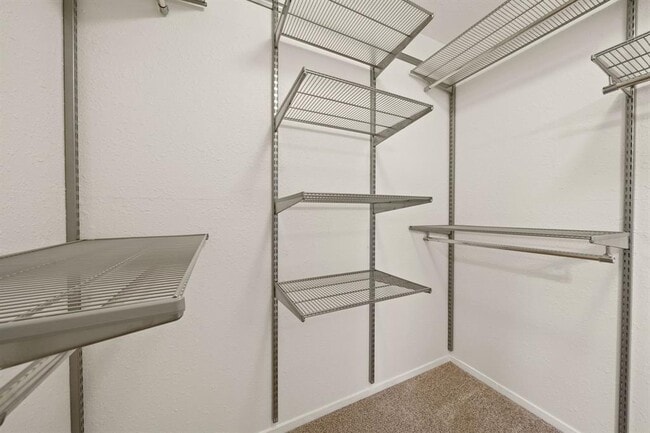 Building Photo - 9012 Texas Sun Dr