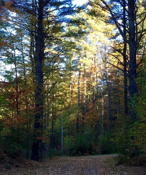 Building Photo - 475 Black Bear Holw