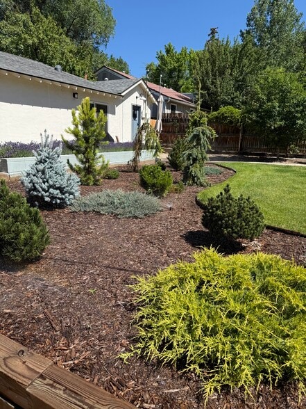 Back yard - 944 E 5th Ave