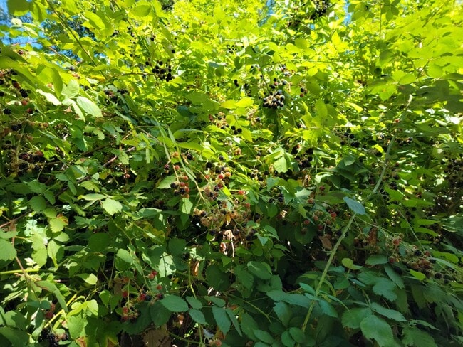 Building Photo - 044SCobert5503