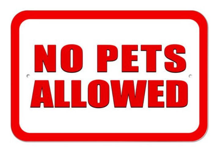 Building Photo - 56 Fulton St