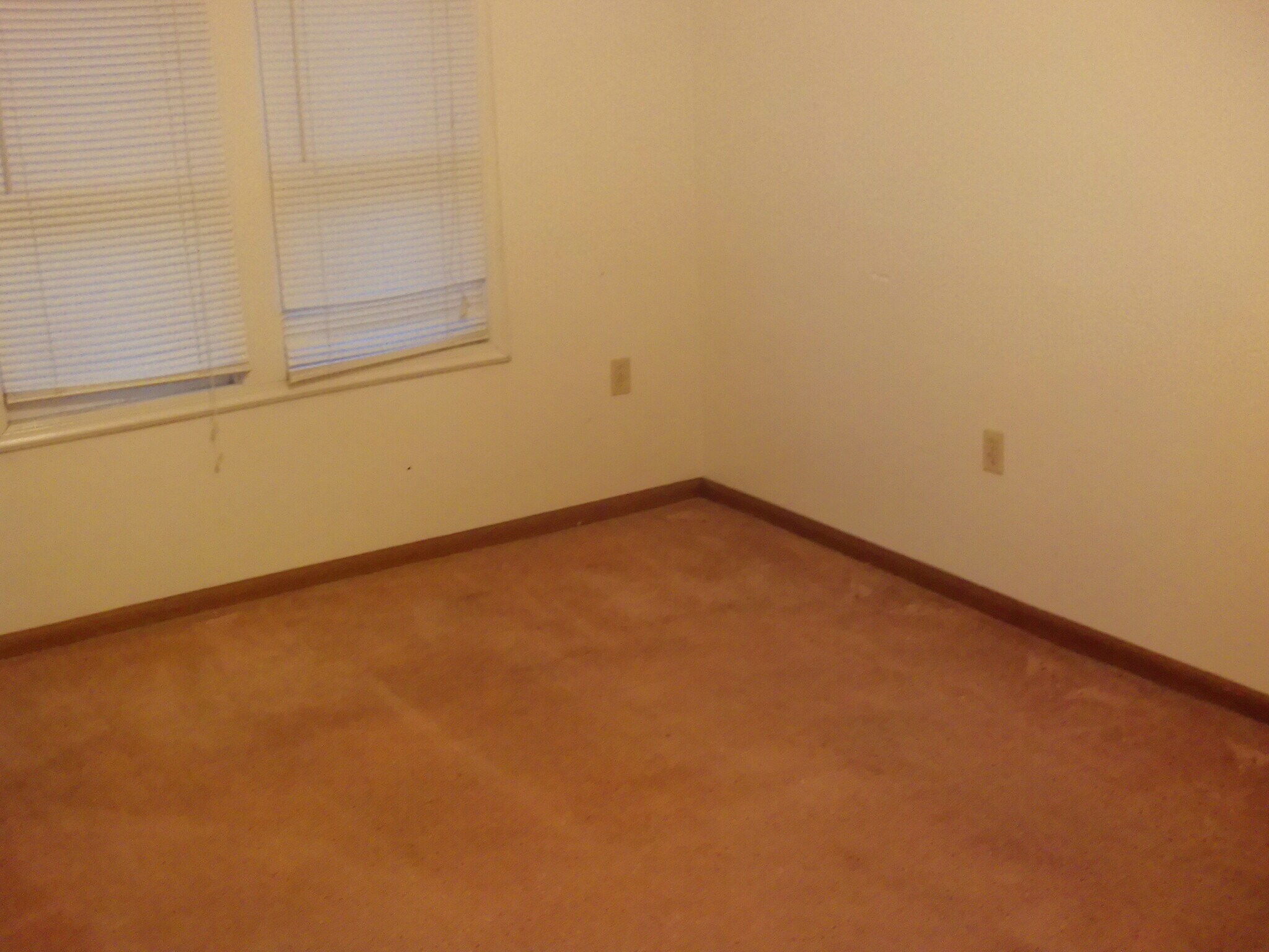 Building Photo - 61 Irene St