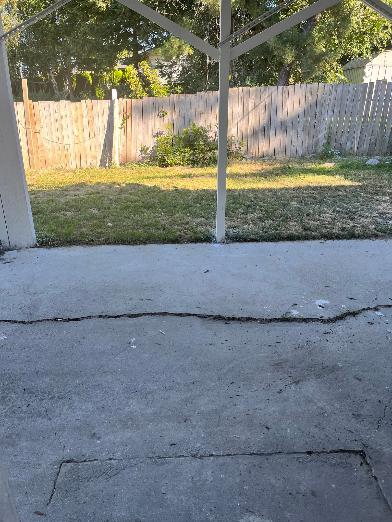 Back yard - 600 Terry St
