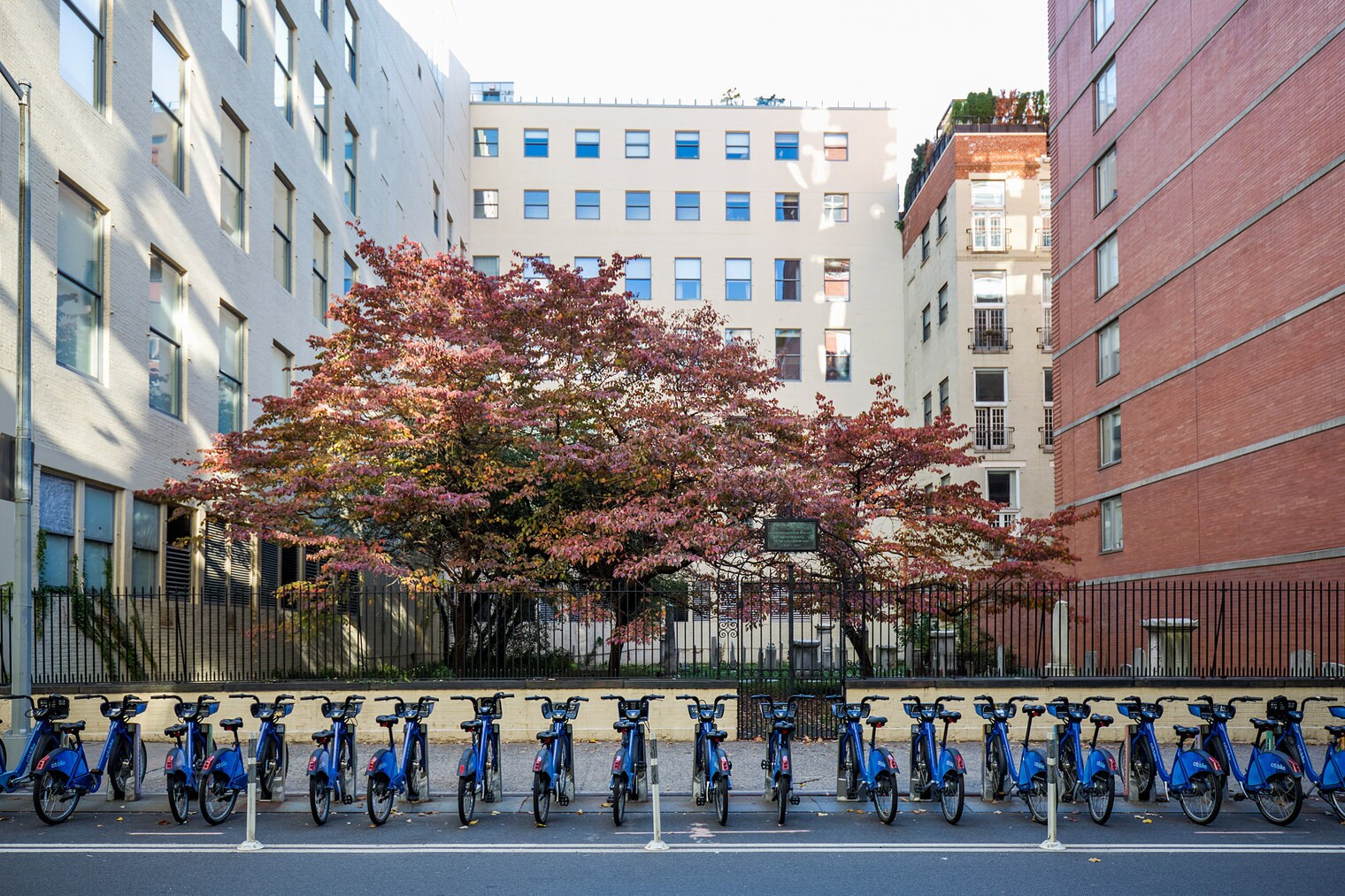 Building Photo - 220 E 14th St
