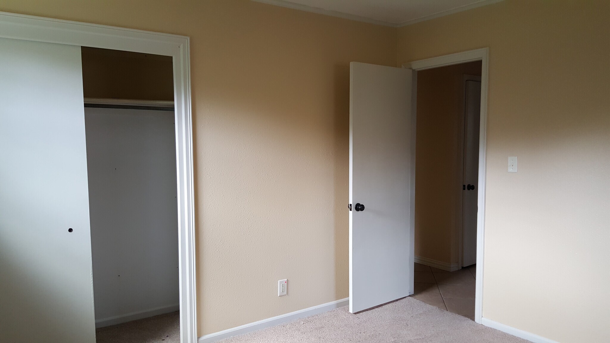 Building Photo - 933 Macklyn Ln