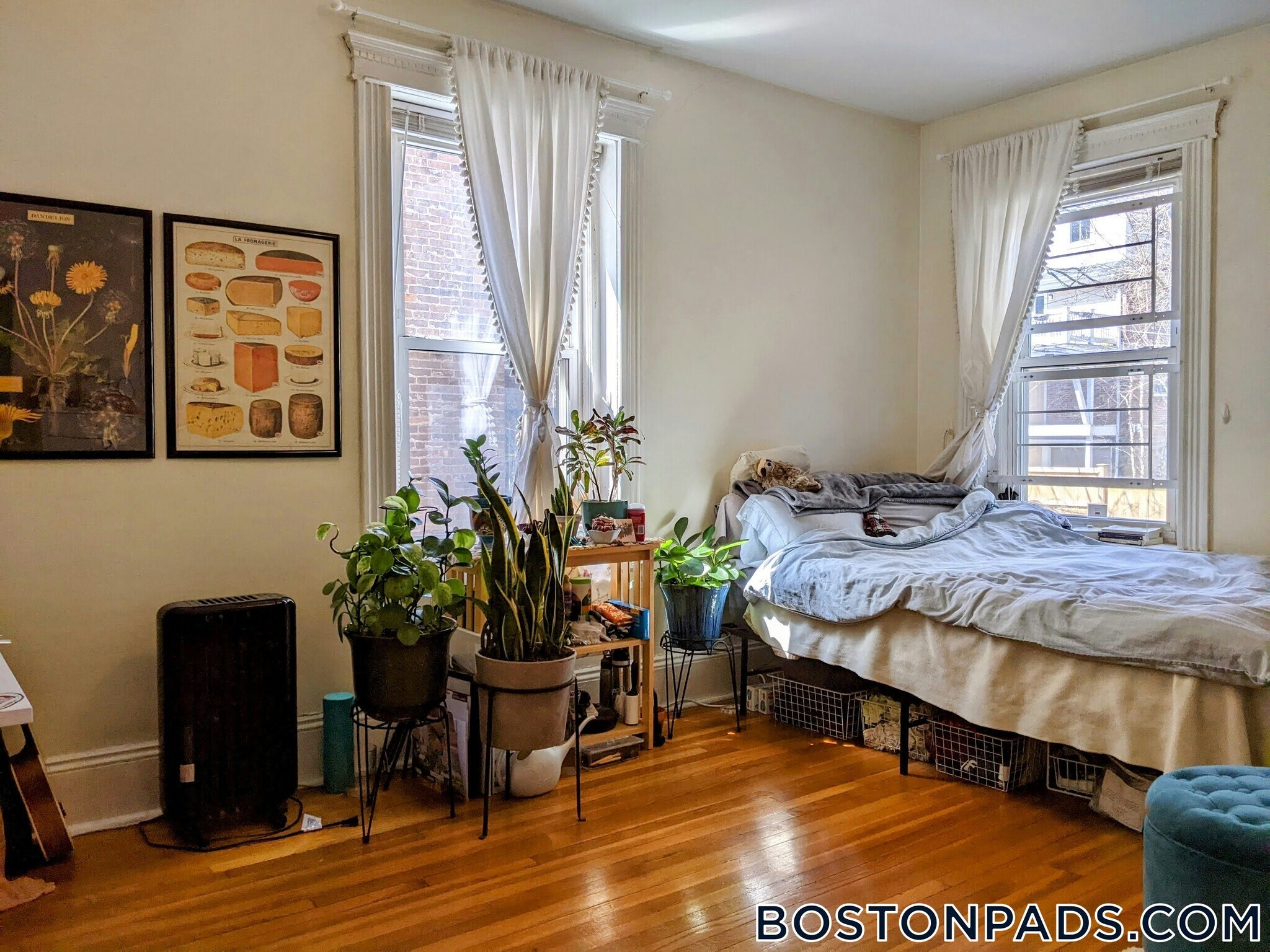 Building Photo - 16 Fuller St