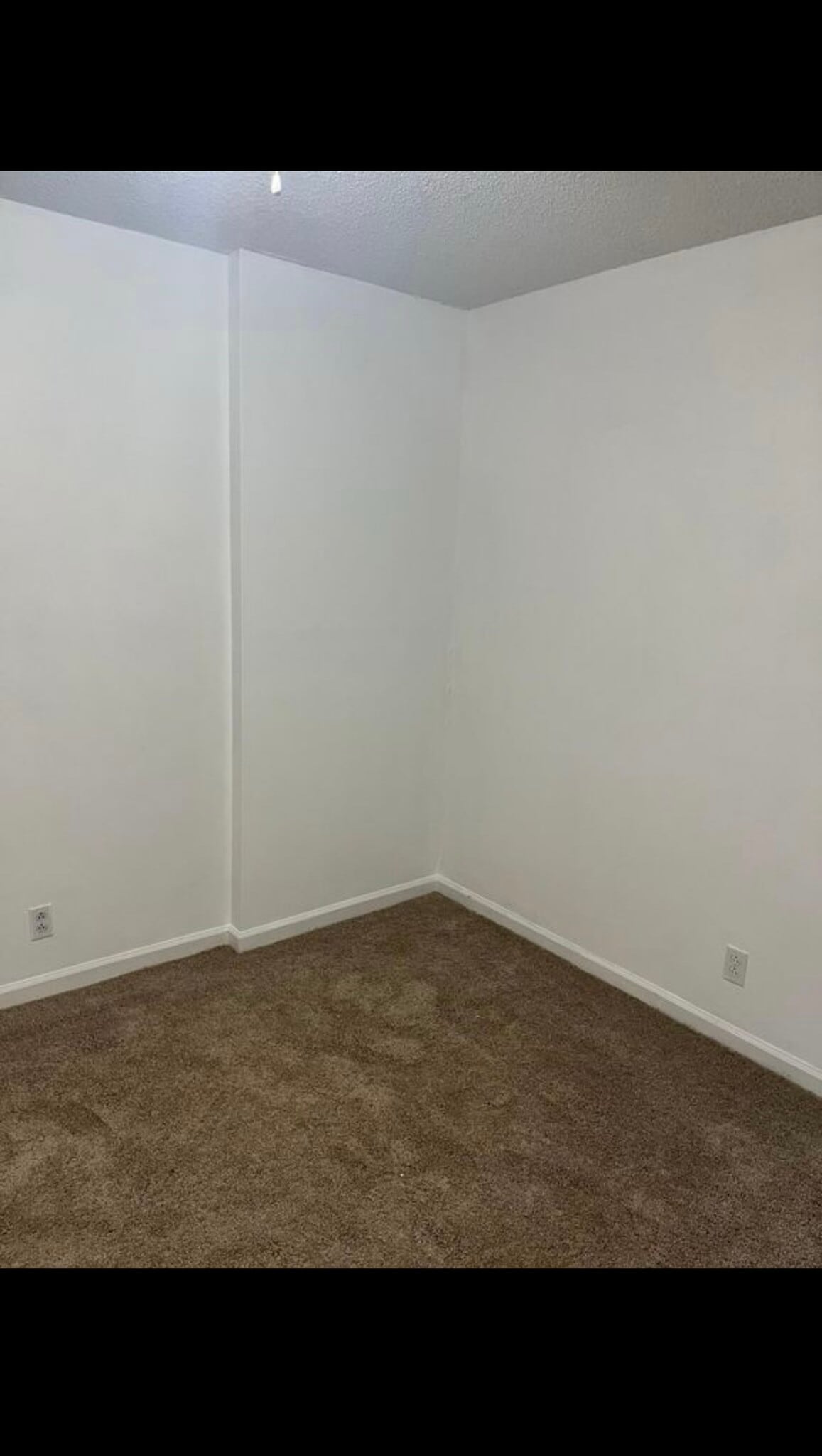 Building Photo - 356 Ladybird Dr