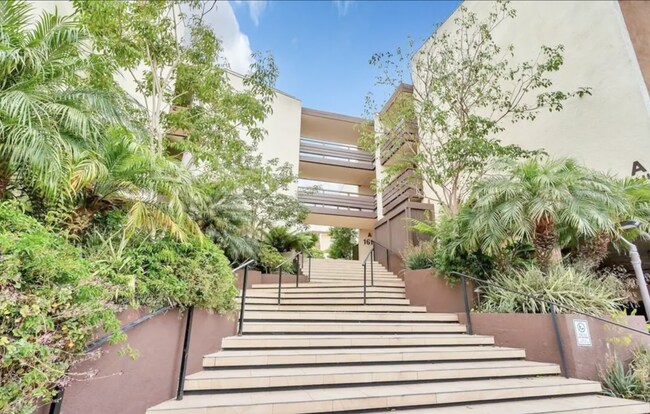 COMPOUND - 1615 Hotel Cir S