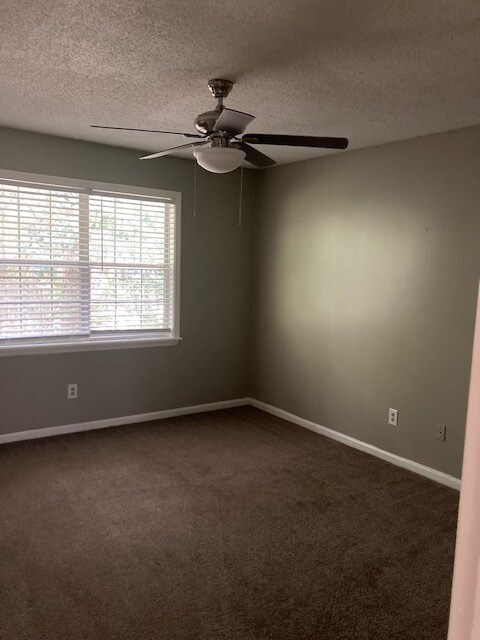 Primary Photo - 509 University Dr