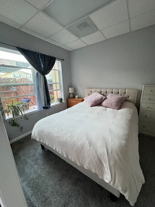 Building Photo - 3967 Sebastopol Rd