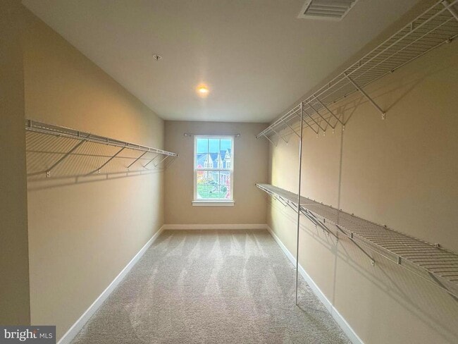 Building Photo - 5259 Blackgum Rd