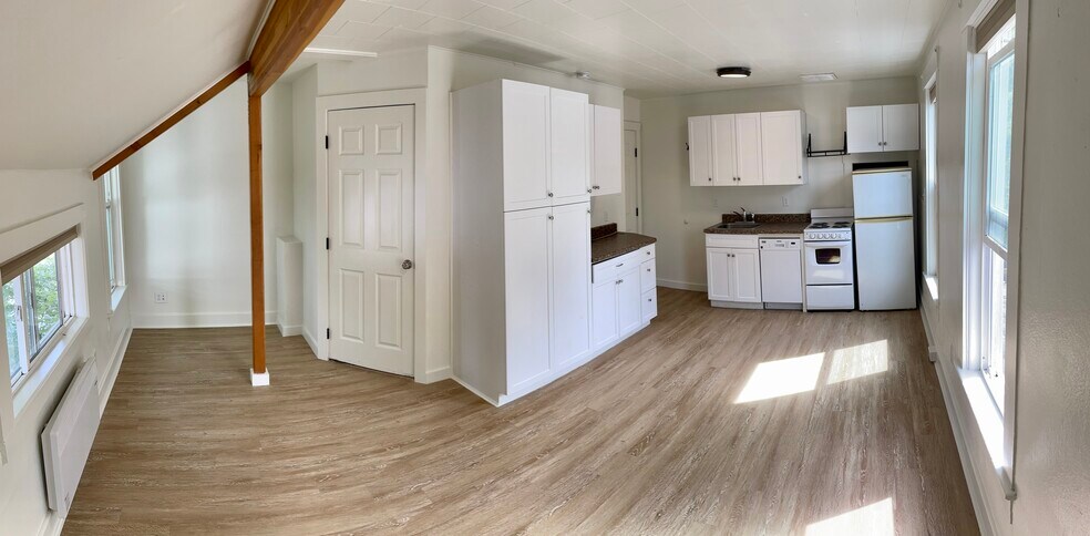 Unit 3 Panorama - 203 S Division St