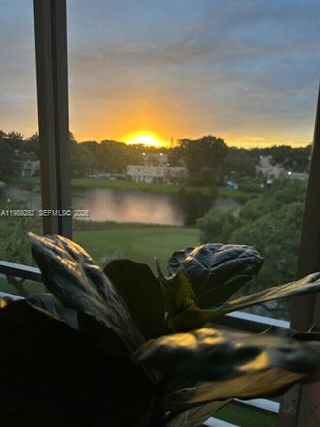 Building Photo - 1811 Sabal Palm Dr